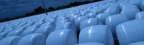 Quality Silage Manufacturer from Punjab