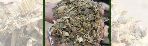 Quality Silage Manufacturer from Punjab